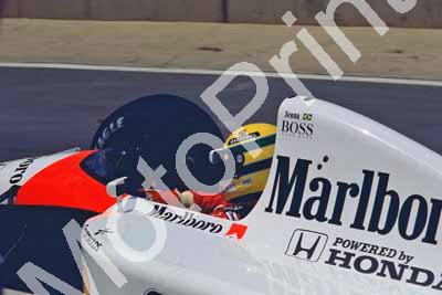 1 Ayrton Senna McLaren MP4-6b 07716 (courtesy Roger Swan) (18)