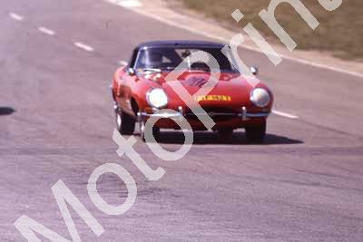 1981 9 hr classic car race 208 Gavin Ritchie Jag E-type (courtesy Roger Swan) (13)